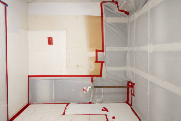 Best Real Estate Mold Inspection  in Burlington, IA