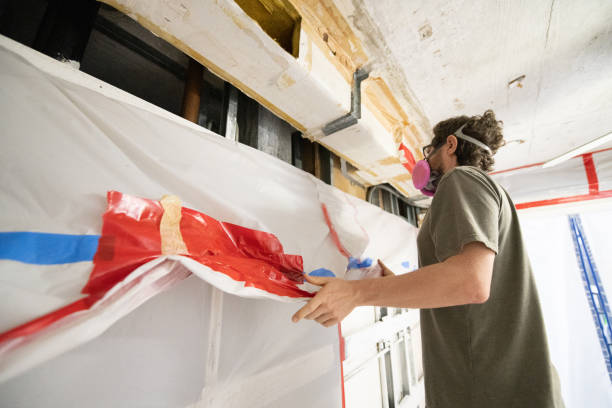 Best Environmental Consulting for Mold Prevention  in Burlington, IA