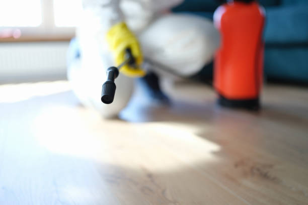Best Comprehensive Air Testing for Mold Contaminants  in Burlington, IA