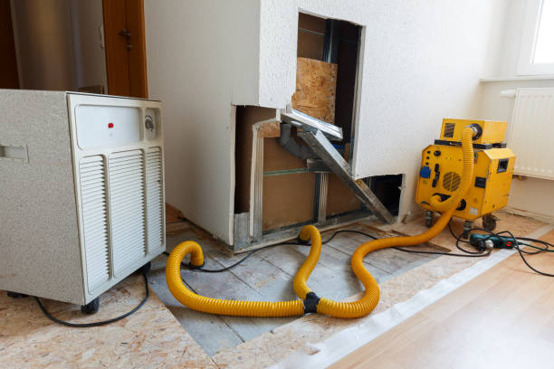 Forensic Mold Investigation in Burlington, IA